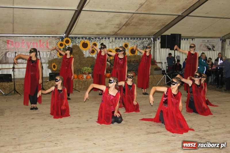 Zdjęcie w galerii na portalu naszraciborz.pl: Roztańczone Wojnowice, czyli dożynki gminy Krzanowice w rytmie Despacito FOTO i WIDEO wiadomości z regionu