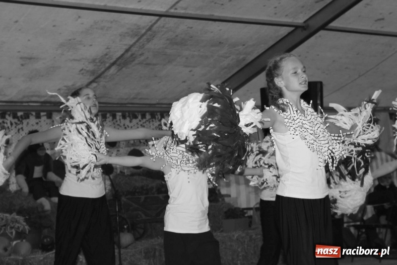 Zdjęcie w galerii na portalu naszraciborz.pl: Roztańczone Wojnowice, czyli dożynki gminy Krzanowice w rytmie Despacito FOTO i WIDEO wiadomości z regionu