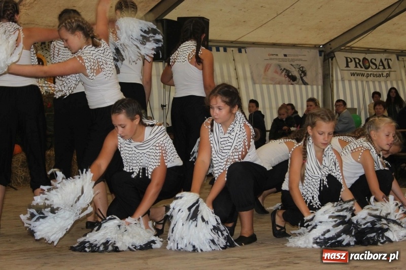 Zdjęcie w galerii na portalu naszraciborz.pl: Roztańczone Wojnowice, czyli dożynki gminy Krzanowice w rytmie Despacito FOTO i WIDEO wiadomości z regionu