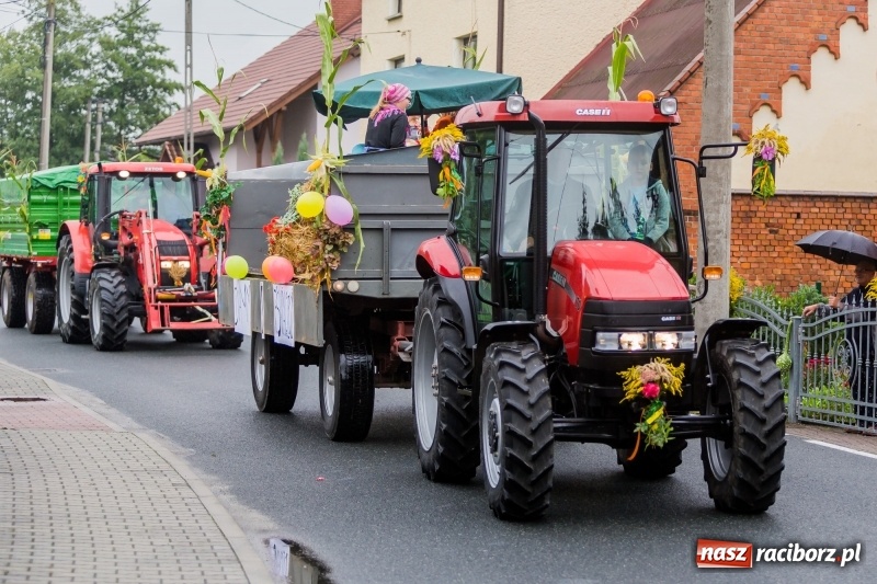Zdjęcie w galerii na portalu naszraciborz.pl: Długi i kolorowy korowód na dożynkach w Rudyszwałdzie  wiadomości z regionu