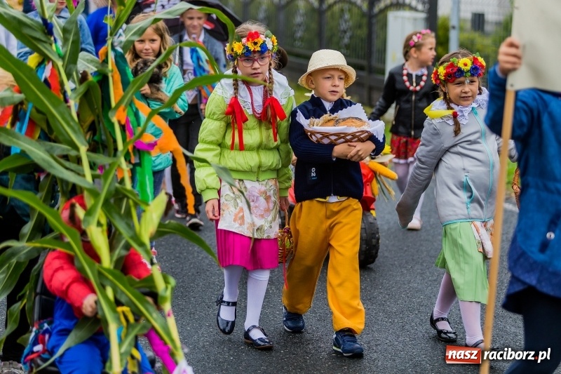 Zdjęcie w galerii na portalu naszraciborz.pl: Długi i kolorowy korowód na dożynkach w Rudyszwałdzie  wiadomości z regionu