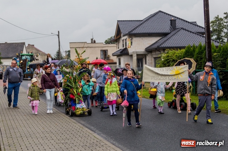 Zdjęcie w galerii na portalu naszraciborz.pl: Długi i kolorowy korowód na dożynkach w Rudyszwałdzie  wiadomości z regionu