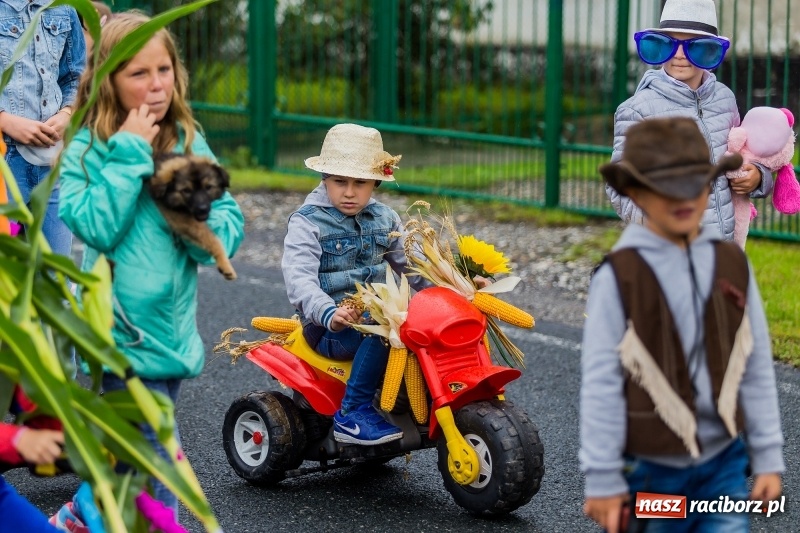 Zdjęcie w galerii na portalu naszraciborz.pl: Długi i kolorowy korowód na dożynkach w Rudyszwałdzie  wiadomości z regionu