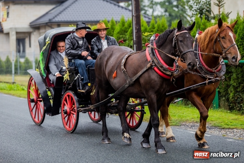 Zdjęcie w galerii na portalu naszraciborz.pl: Długi i kolorowy korowód na dożynkach w Rudyszwałdzie  wiadomości z regionu