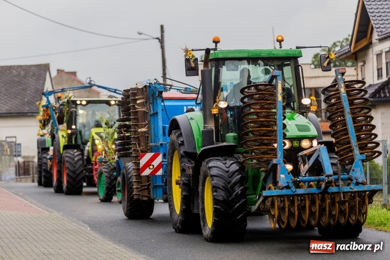 Zdjęcie w galerii na portalu naszraciborz.pl: Długi i kolorowy korowód na dożynkach w Rudyszwałdzie  wiadomości z regionu