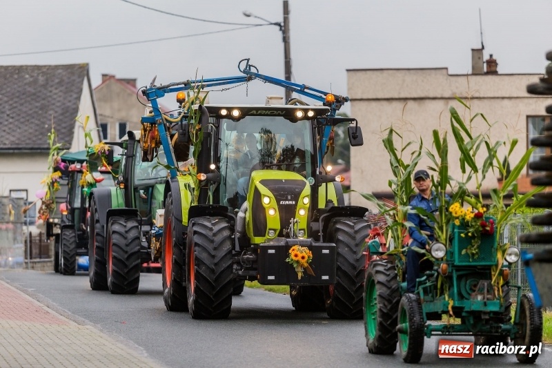 Zdjęcie w galerii na portalu naszraciborz.pl: Długi i kolorowy korowód na dożynkach w Rudyszwałdzie  wiadomości z regionu