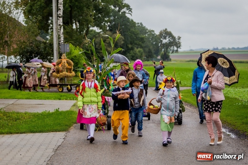 Zdjęcie w galerii na portalu naszraciborz.pl: Długi i kolorowy korowód na dożynkach w Rudyszwałdzie  wiadomości z regionu