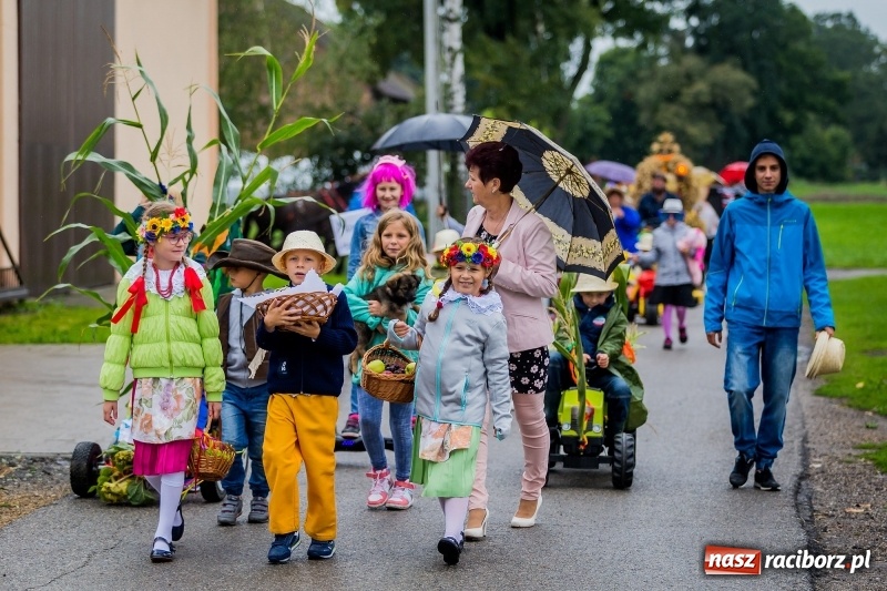 Zdjęcie w galerii na portalu naszraciborz.pl: Długi i kolorowy korowód na dożynkach w Rudyszwałdzie  wiadomości z regionu