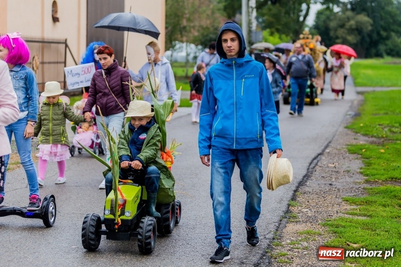 Zdjęcie w galerii na portalu naszraciborz.pl: Długi i kolorowy korowód na dożynkach w Rudyszwałdzie  wiadomości z regionu