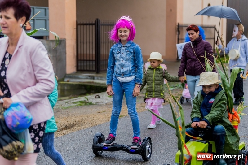 Zdjęcie w galerii na portalu naszraciborz.pl: Długi i kolorowy korowód na dożynkach w Rudyszwałdzie  wiadomości z regionu