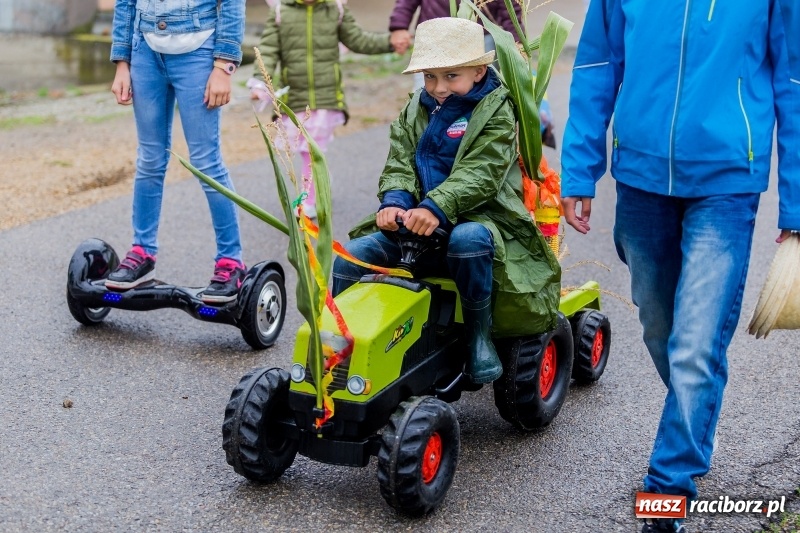 Zdjęcie w galerii na portalu naszraciborz.pl: Długi i kolorowy korowód na dożynkach w Rudyszwałdzie  wiadomości z regionu