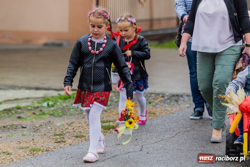 Zdjęcie w galerii na portalu naszraciborz.pl: Długi i kolorowy korowód na dożynkach w Rudyszwałdzie  wiadomości z regionu