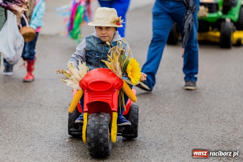 Zdjęcie w galerii na portalu naszraciborz.pl: Długi i kolorowy korowód na dożynkach w Rudyszwałdzie  wiadomości z regionu