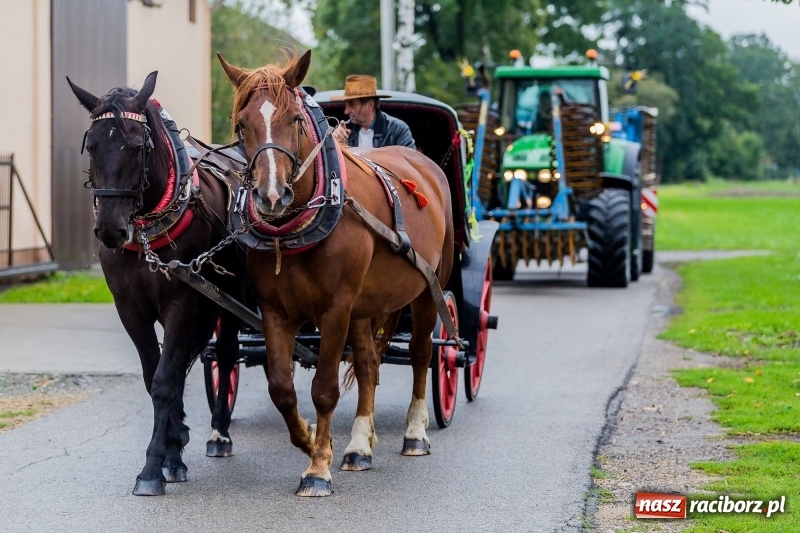 Zdjęcie w galerii na portalu naszraciborz.pl: Długi i kolorowy korowód na dożynkach w Rudyszwałdzie  wiadomości z regionu