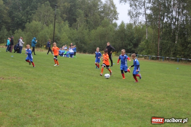 Zdjęcie w galerii na portalu naszraciborz.pl: Młodzi piłkarze z Tworkowa na Total Football Cup 2017 wiadomości z regionu
