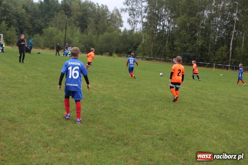 Zdjęcie w galerii na portalu naszraciborz.pl: Młodzi piłkarze z Tworkowa na Total Football Cup 2017 wiadomości z regionu