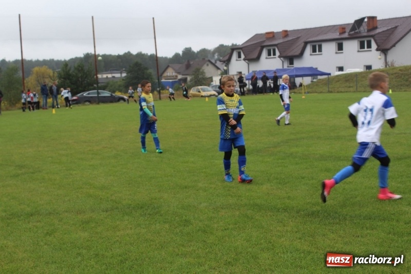 Zdjęcie w galerii na portalu naszraciborz.pl: Młodzi piłkarze z Tworkowa na Total Football Cup 2017 wiadomości z regionu