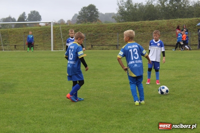 Zdjęcie w galerii na portalu naszraciborz.pl: Młodzi piłkarze z Tworkowa na Total Football Cup 2017 wiadomości z regionu