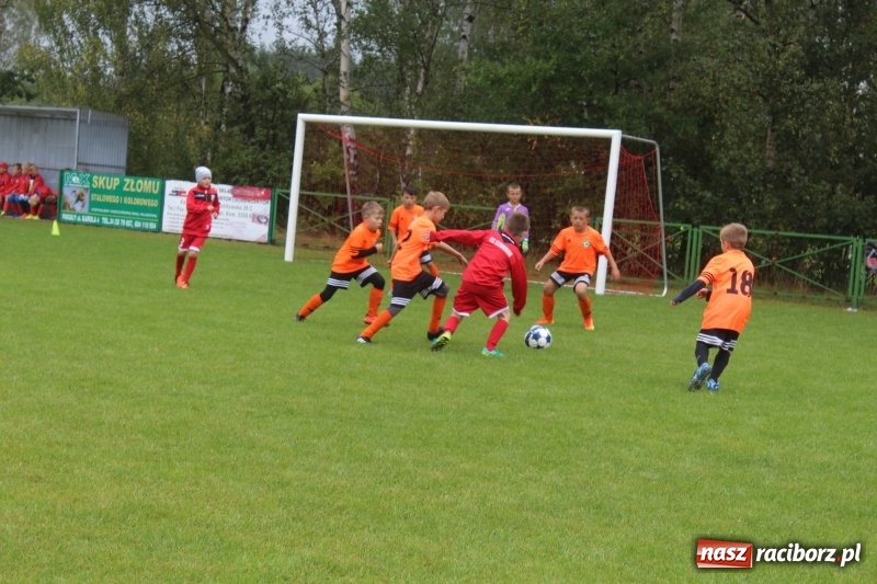 Zdjęcie w galerii na portalu naszraciborz.pl: Młodzi piłkarze z Tworkowa na Total Football Cup 2017 wiadomości z regionu