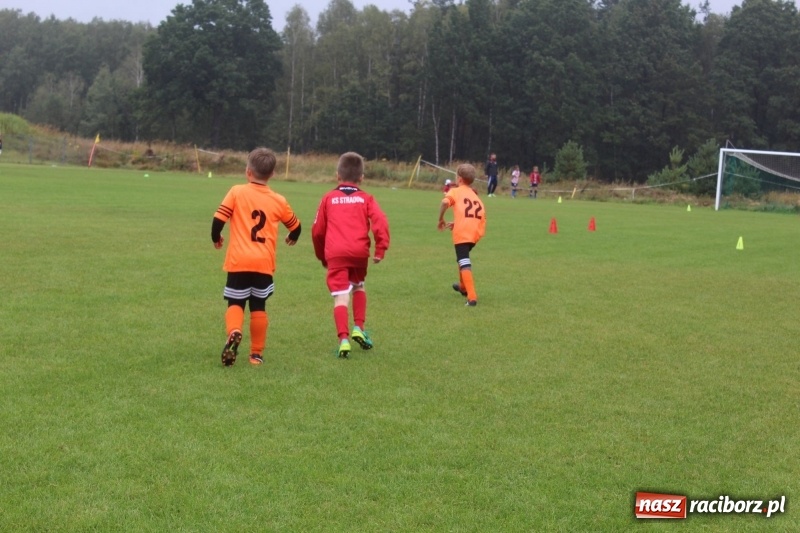 Zdjęcie w galerii na portalu naszraciborz.pl: Młodzi piłkarze z Tworkowa na Total Football Cup 2017 wiadomości z regionu