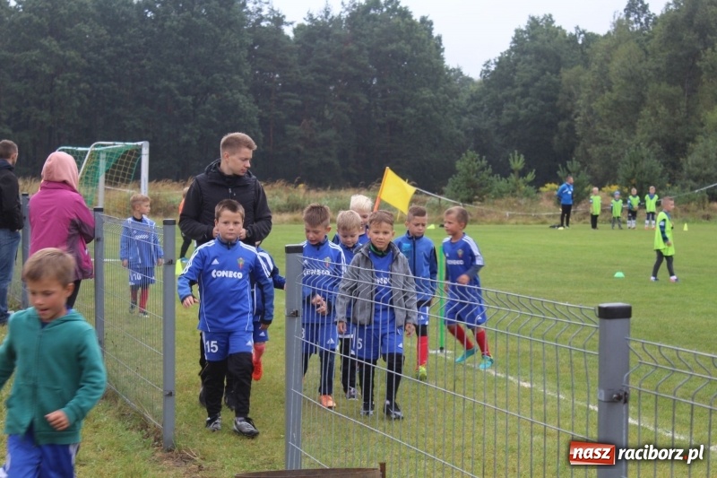 Zdjęcie w galerii na portalu naszraciborz.pl: Młodzi piłkarze z Tworkowa na Total Football Cup 2017 wiadomości z regionu