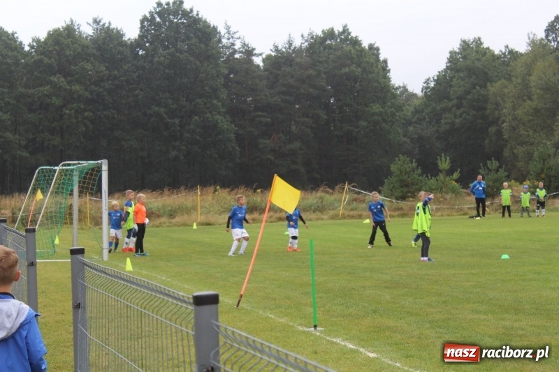 Zdjęcie w galerii na portalu naszraciborz.pl: Młodzi piłkarze z Tworkowa na Total Football Cup 2017 wiadomości z regionu