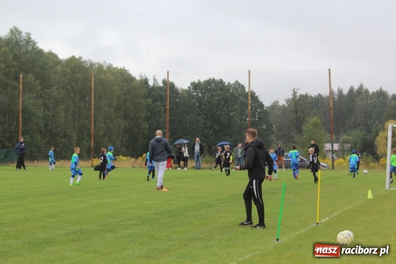 Zdjęcie w galerii na portalu naszraciborz.pl: Młodzi piłkarze z Tworkowa na Total Football Cup 2017 wiadomości z regionu