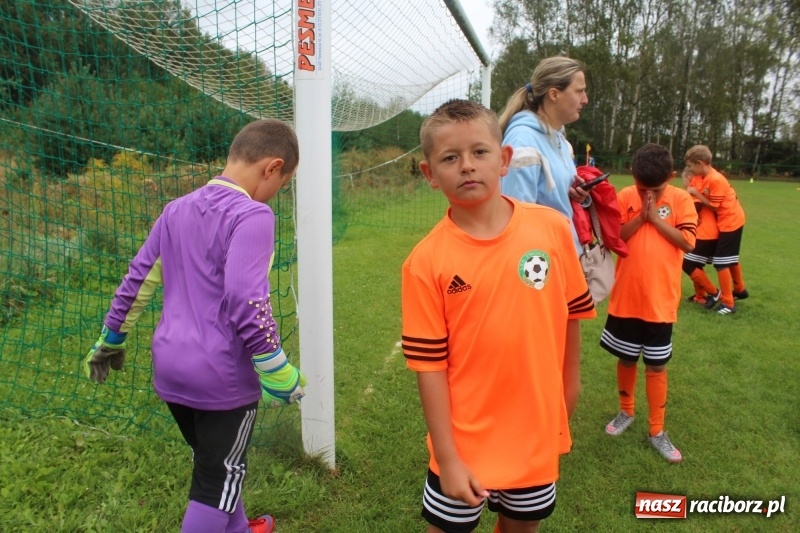 Zdjęcie w galerii na portalu naszraciborz.pl: Młodzi piłkarze z Tworkowa na Total Football Cup 2017 wiadomości z regionu