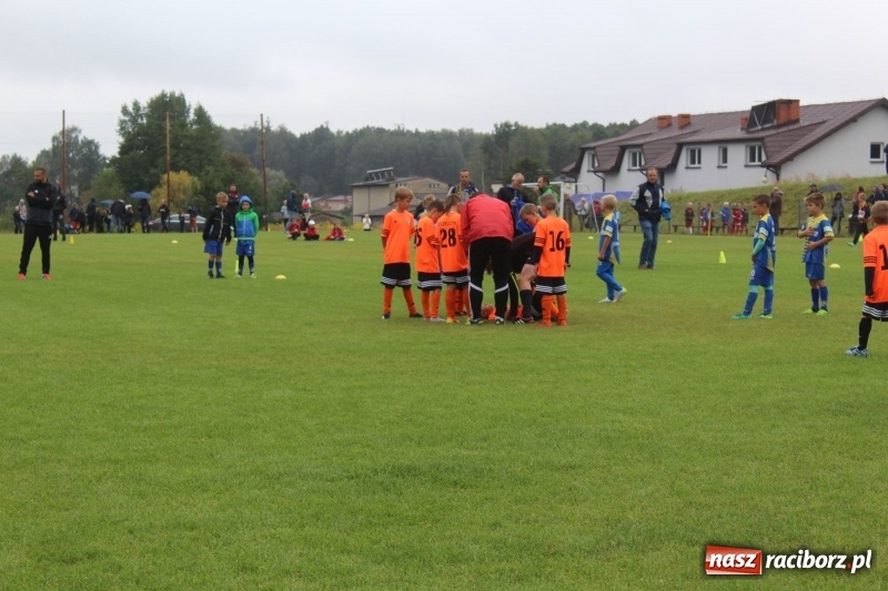 Zdjęcie w galerii na portalu naszraciborz.pl: Młodzi piłkarze z Tworkowa na Total Football Cup 2017 wiadomości z regionu