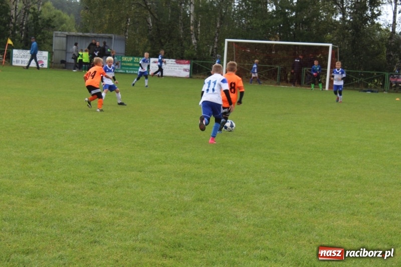 Zdjęcie w galerii na portalu naszraciborz.pl: Młodzi piłkarze z Tworkowa na Total Football Cup 2017 wiadomości z regionu