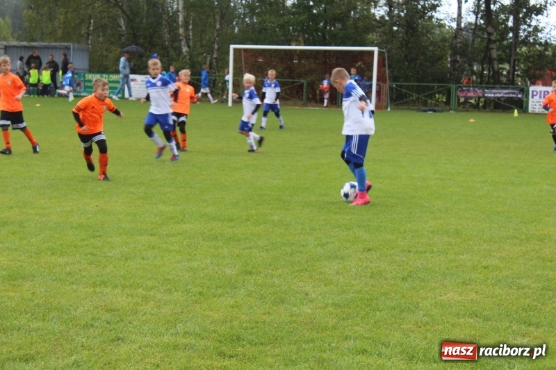 Zdjęcie w galerii na portalu naszraciborz.pl: Młodzi piłkarze z Tworkowa na Total Football Cup 2017 wiadomości z regionu