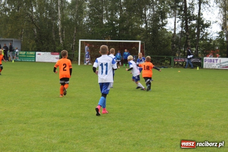 Zdjęcie w galerii na portalu naszraciborz.pl: Młodzi piłkarze z Tworkowa na Total Football Cup 2017 wiadomości z regionu