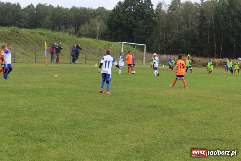 Zdjęcie w galerii na portalu naszraciborz.pl: Młodzi piłkarze z Tworkowa na Total Football Cup 2017 wiadomości z regionu