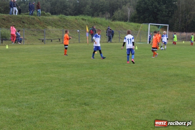 Zdjęcie w galerii na portalu naszraciborz.pl: Młodzi piłkarze z Tworkowa na Total Football Cup 2017 wiadomości z regionu