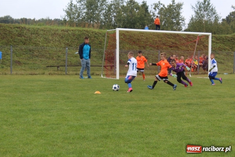 Zdjęcie w galerii na portalu naszraciborz.pl: Młodzi piłkarze z Tworkowa na Total Football Cup 2017 wiadomości z regionu