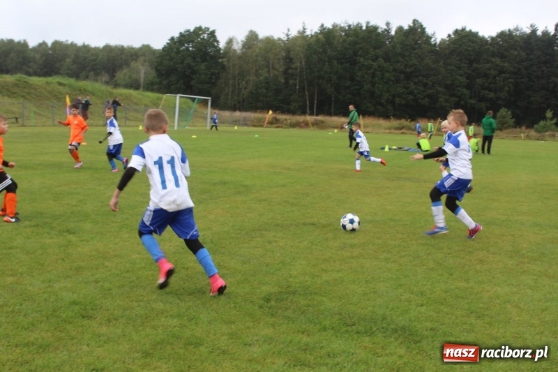 Zdjęcie w galerii na portalu naszraciborz.pl: Młodzi piłkarze z Tworkowa na Total Football Cup 2017 wiadomości z regionu