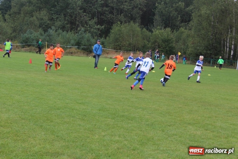 Zdjęcie w galerii na portalu naszraciborz.pl: Młodzi piłkarze z Tworkowa na Total Football Cup 2017 wiadomości z regionu