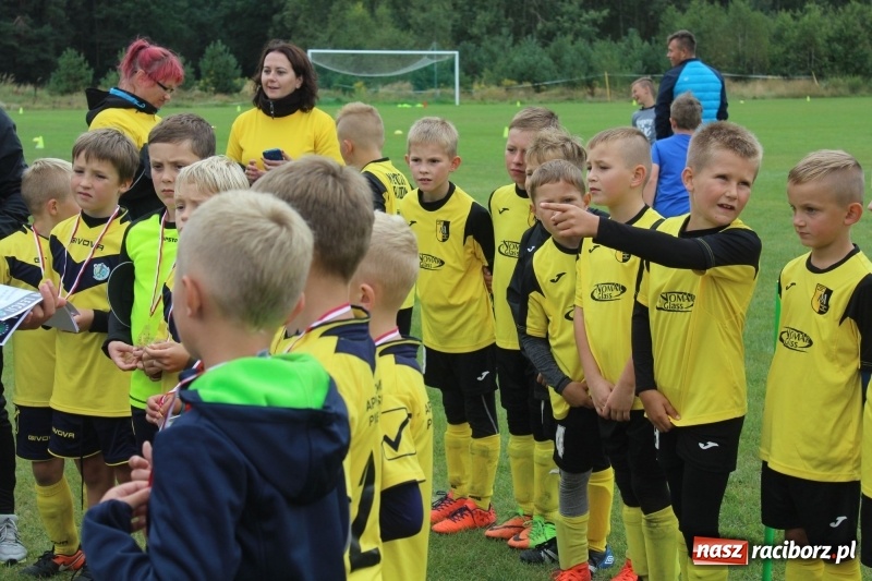 Zdjęcie w galerii na portalu naszraciborz.pl: Młodzi piłkarze z Tworkowa na Total Football Cup 2017 wiadomości z regionu