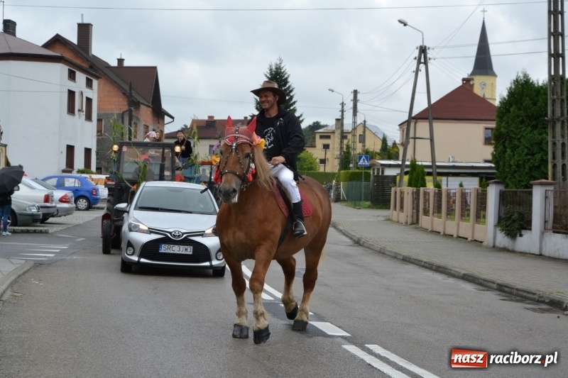 Zdjęcie w galerii na portalu naszraciborz.pl: Krzyżanowice zapraszają na dożynki. Gwiazdą Blue Party wiadomości z regionu
