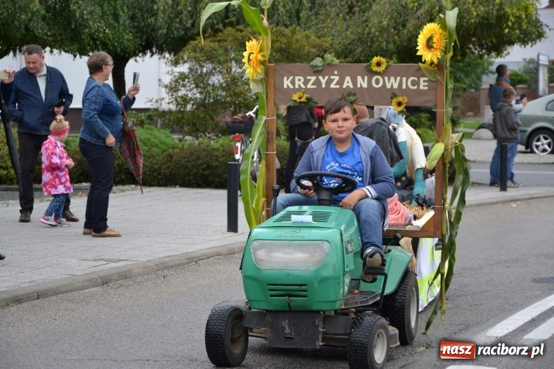Zdjęcie w galerii na portalu naszraciborz.pl: Krzyżanowice zapraszają na dożynki. Gwiazdą Blue Party wiadomości z regionu