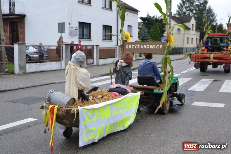 Zdjęcie w galerii na portalu naszraciborz.pl: Krzyżanowice zapraszają na dożynki. Gwiazdą Blue Party wiadomości z regionu
