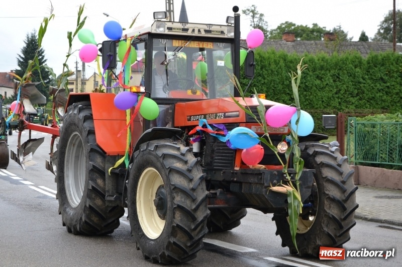 Zdjęcie w galerii na portalu naszraciborz.pl: Krzyżanowice zapraszają na dożynki. Gwiazdą Blue Party wiadomości z regionu