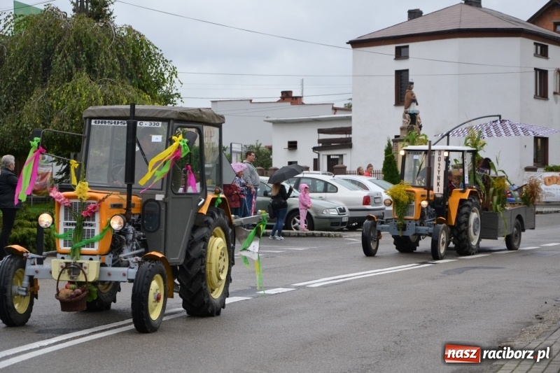 Zdjęcie w galerii na portalu naszraciborz.pl: Krzyżanowice zapraszają na dożynki. Gwiazdą Blue Party wiadomości z regionu