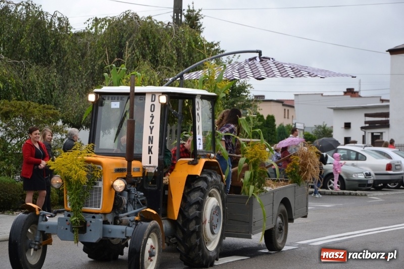 Zdjęcie w galerii na portalu naszraciborz.pl: Krzyżanowice zapraszają na dożynki. Gwiazdą Blue Party wiadomości z regionu