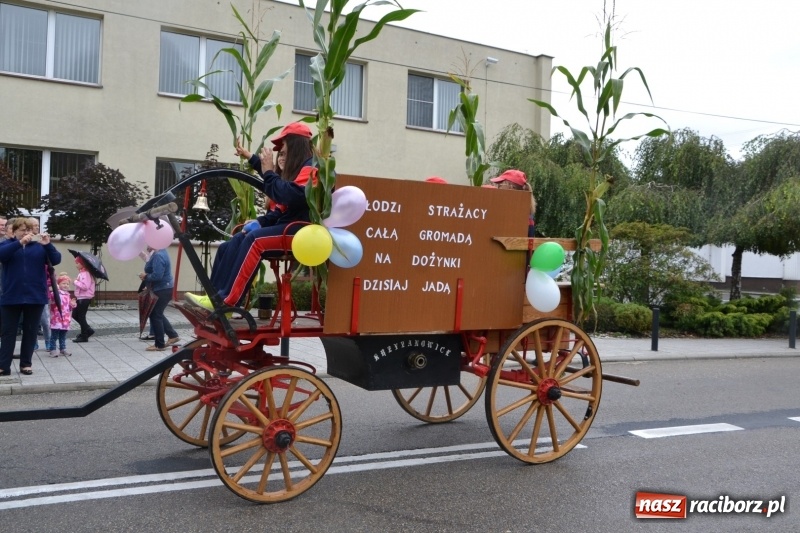 Zdjęcie w galerii na portalu naszraciborz.pl: Krzyżanowice zapraszają na dożynki. Gwiazdą Blue Party wiadomości z regionu