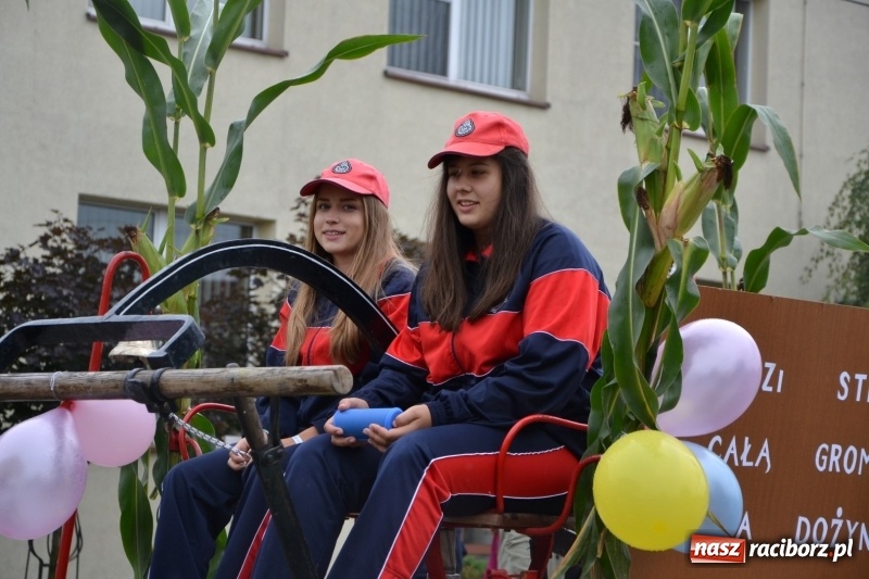 Zdjęcie w galerii na portalu naszraciborz.pl: Krzyżanowice zapraszają na dożynki. Gwiazdą Blue Party wiadomości z regionu
