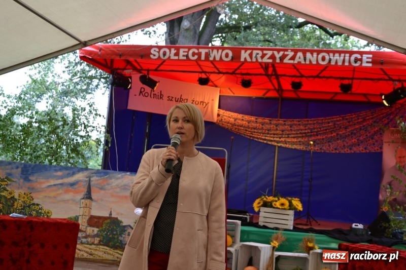 Zdjęcie w galerii na portalu naszraciborz.pl: Krzyżanowice zapraszają na dożynki. Gwiazdą Blue Party wiadomości z regionu