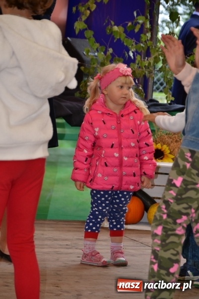 Zdjęcie w galerii na portalu naszraciborz.pl: Krzyżanowice zapraszają na dożynki. Gwiazdą Blue Party wiadomości z regionu