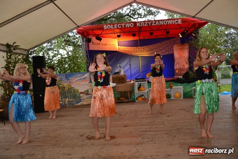Zdjęcie w galerii na portalu naszraciborz.pl: Krzyżanowice zapraszają na dożynki. Gwiazdą Blue Party wiadomości z regionu