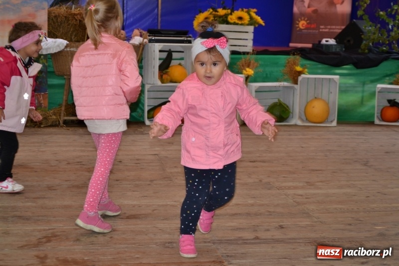 Zdjęcie w galerii na portalu naszraciborz.pl: Krzyżanowice zapraszają na dożynki. Gwiazdą Blue Party wiadomości z regionu